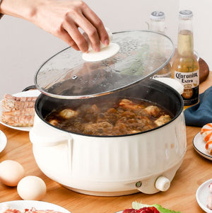 Household electric cooker